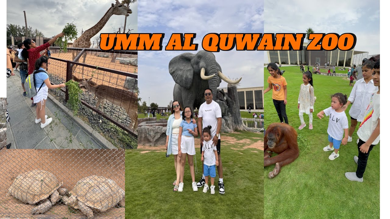 Umm Al Quwain Zoo || Sezu’s first visit to the zoo || Sezu is scared || Siu horse riding