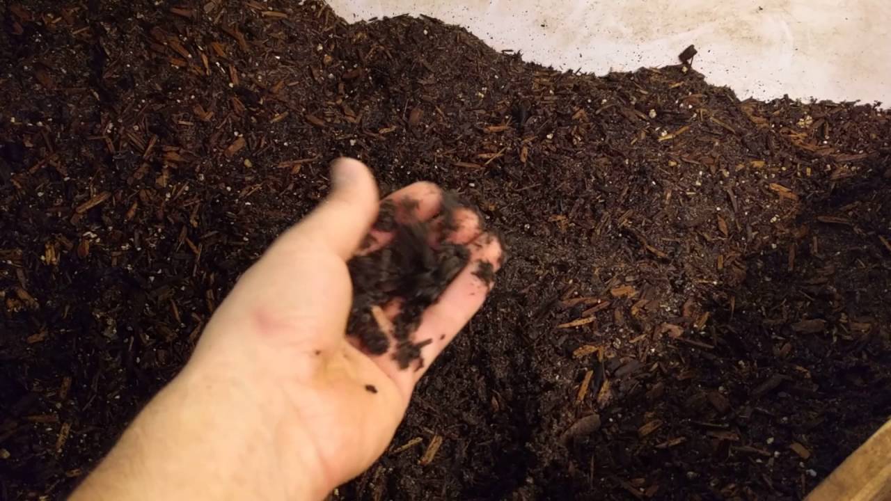 How To: Setting up your lay box for your Water Monitor