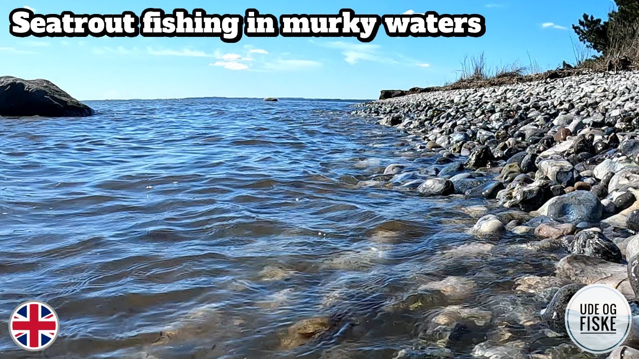 Seatrout fishing on the Danish coast | Murky waters, but still some fish!