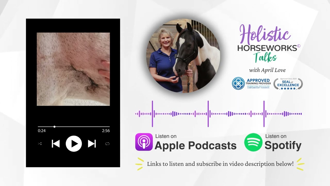 Old Scars On Your Horse Can Impede Performance And Mobility | Holistic Horseworks Talks