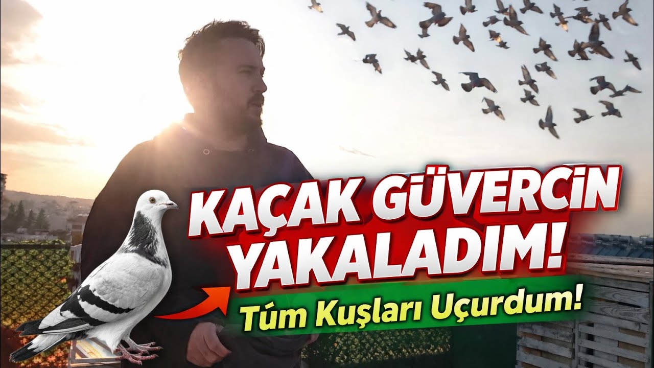 7 ADET KUŞ TUTTUM ÇOK GARİP KUŞ VAR