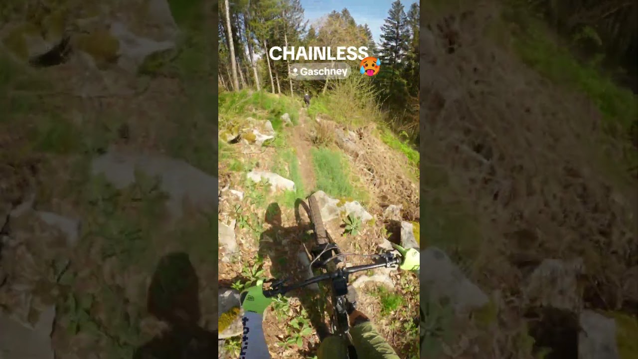 MTB : Gaschney Sud chainless 🥵