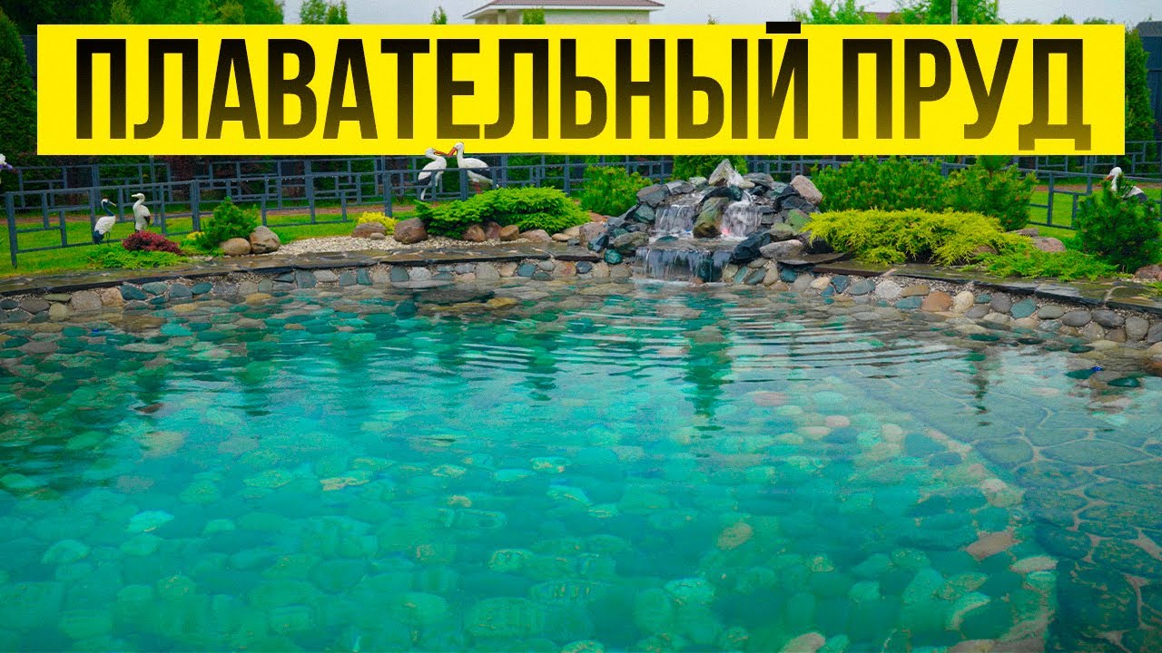 Пруд или бассейн? Какой водоём выбрать для участка
