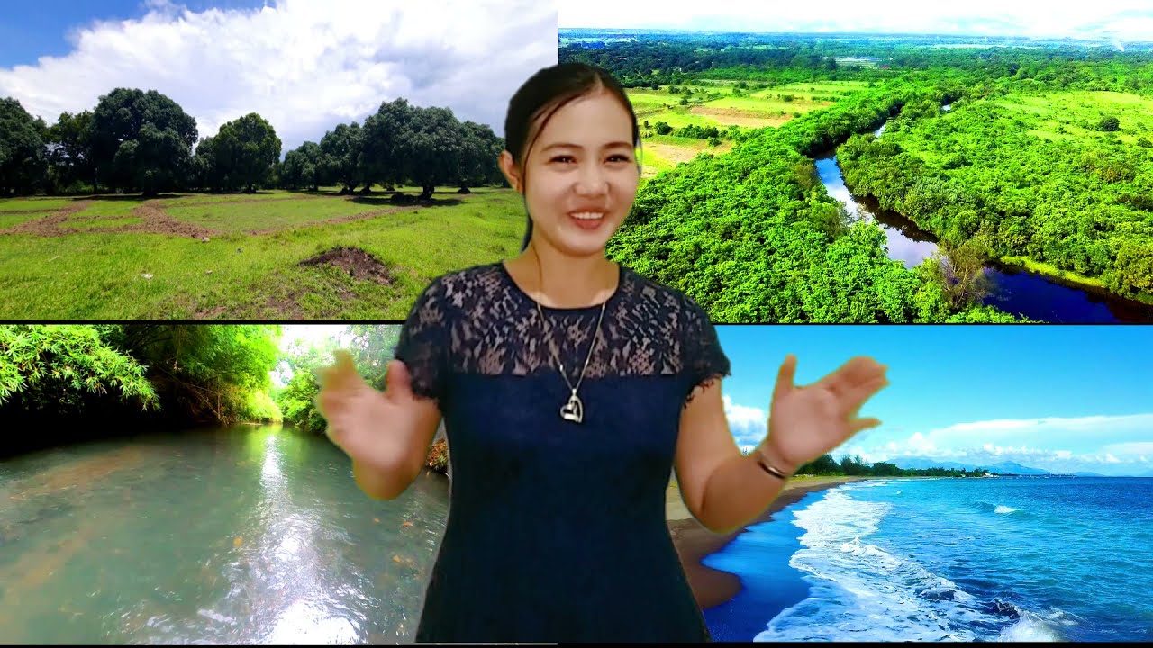 SOLD: LFS 32 | FARM LAND and BEACH FOR SALE with FRUIT BEARING TREES | 2024