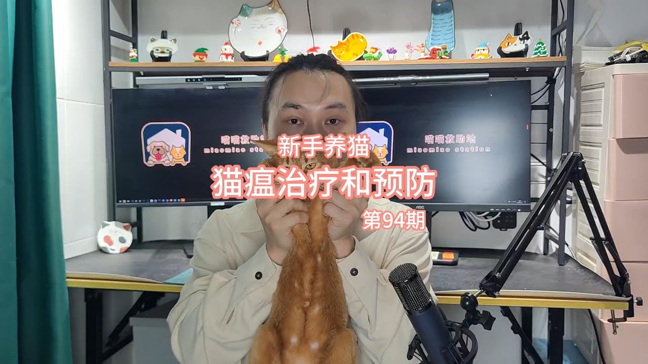 ❤️新手養貓，貓瘟治療和預防❤️