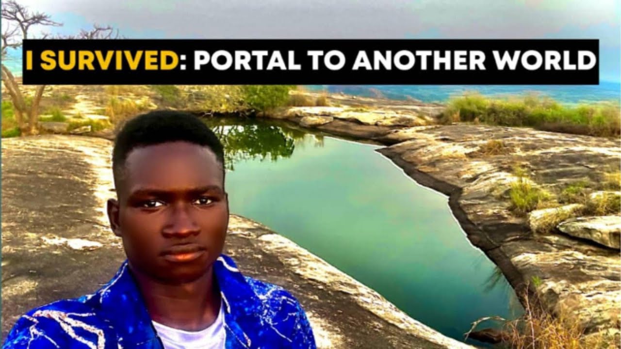 I survived Portal to another world