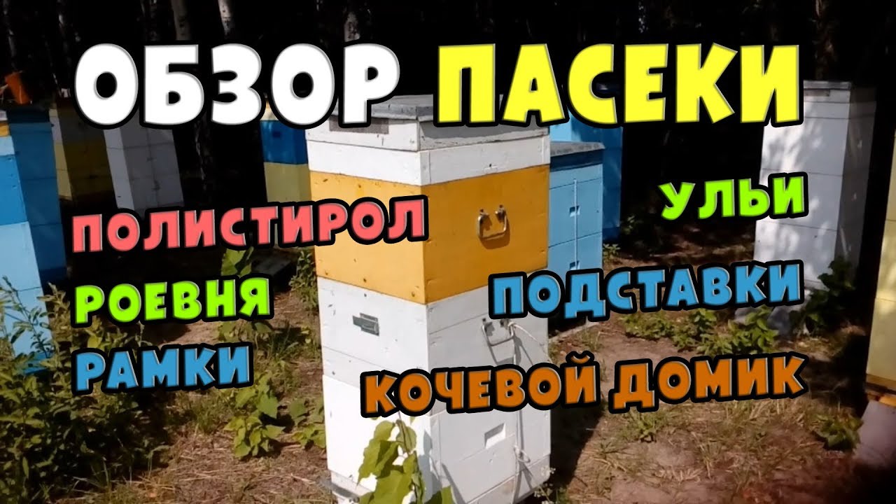 Обзор пасеки и приспособлений пчеловодства | Overview of apiaries and apiaries of beekeeping