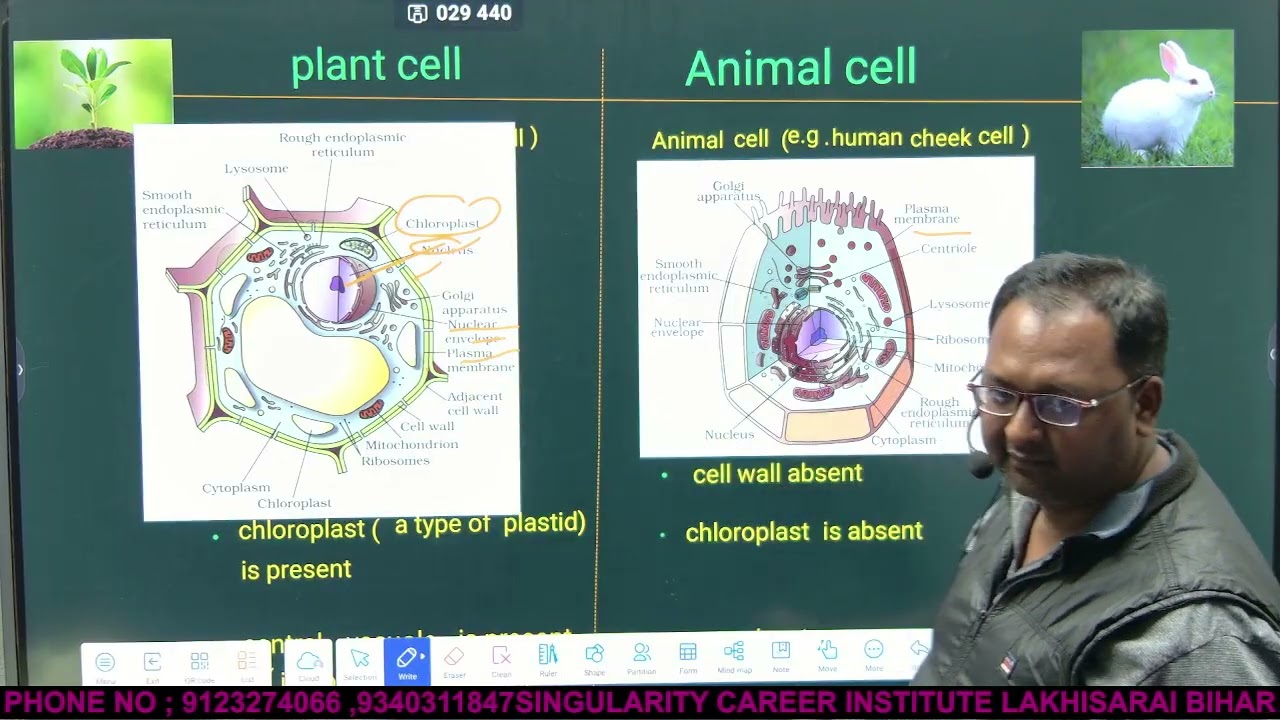 Differences Between Plant Cell and Animal Cell