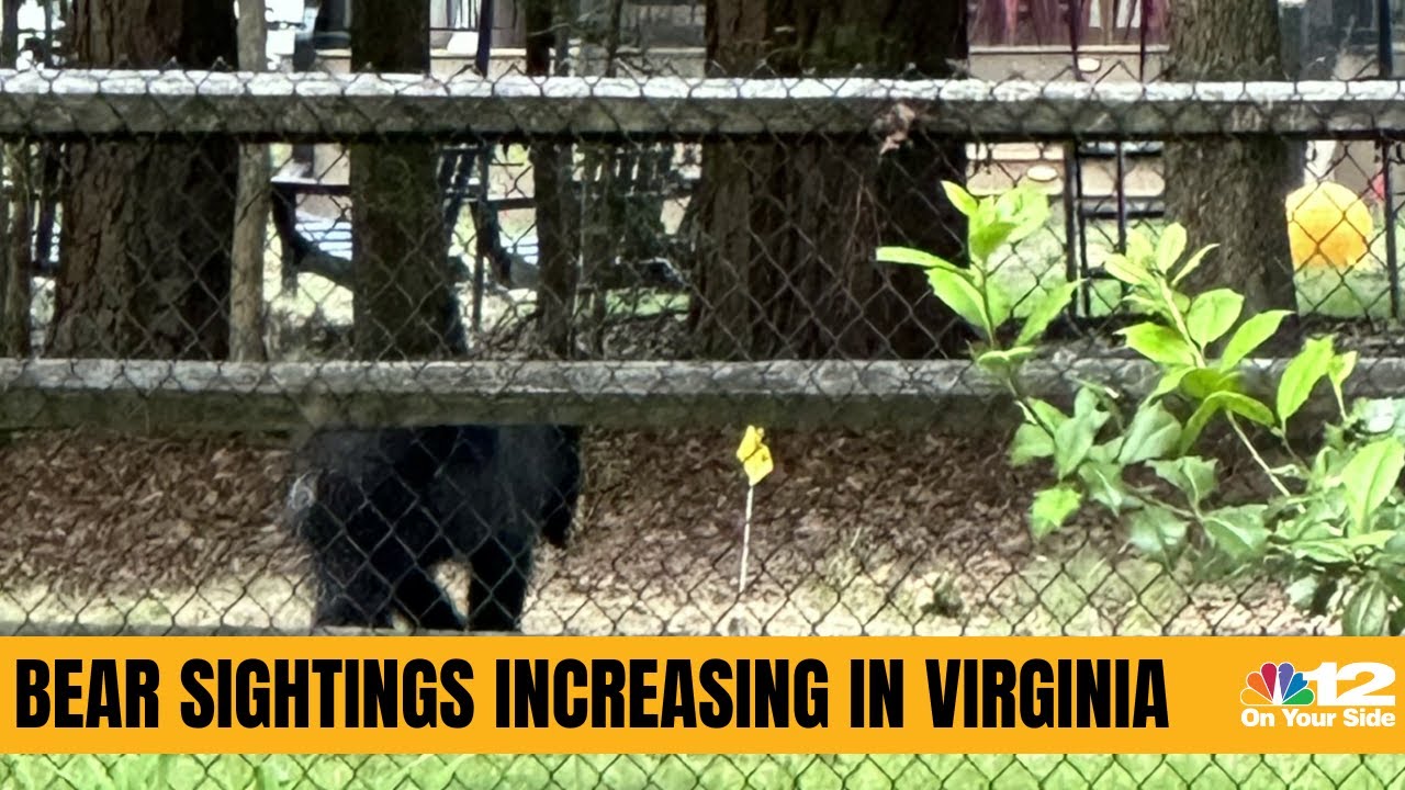 Dept. of Wildlife Resources offers reminders as bear activity increases