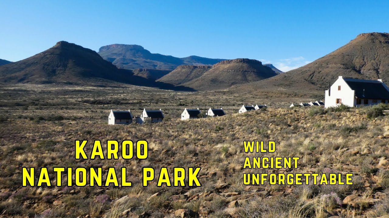 Karoo National Park &ndash; Wildlife, Fossils & the Power of Silence