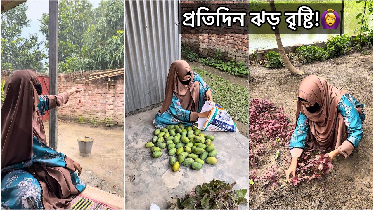 আমার ছোট্টো বাড়িতে রহমতের বৃষ্টি, আলহামদুলিল্লাহ!❤️