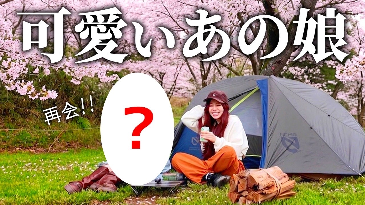 可愛いあの女子と再会！満開の桜お花見キャンプ【成田ゆめ牧場オートキャンプ場】