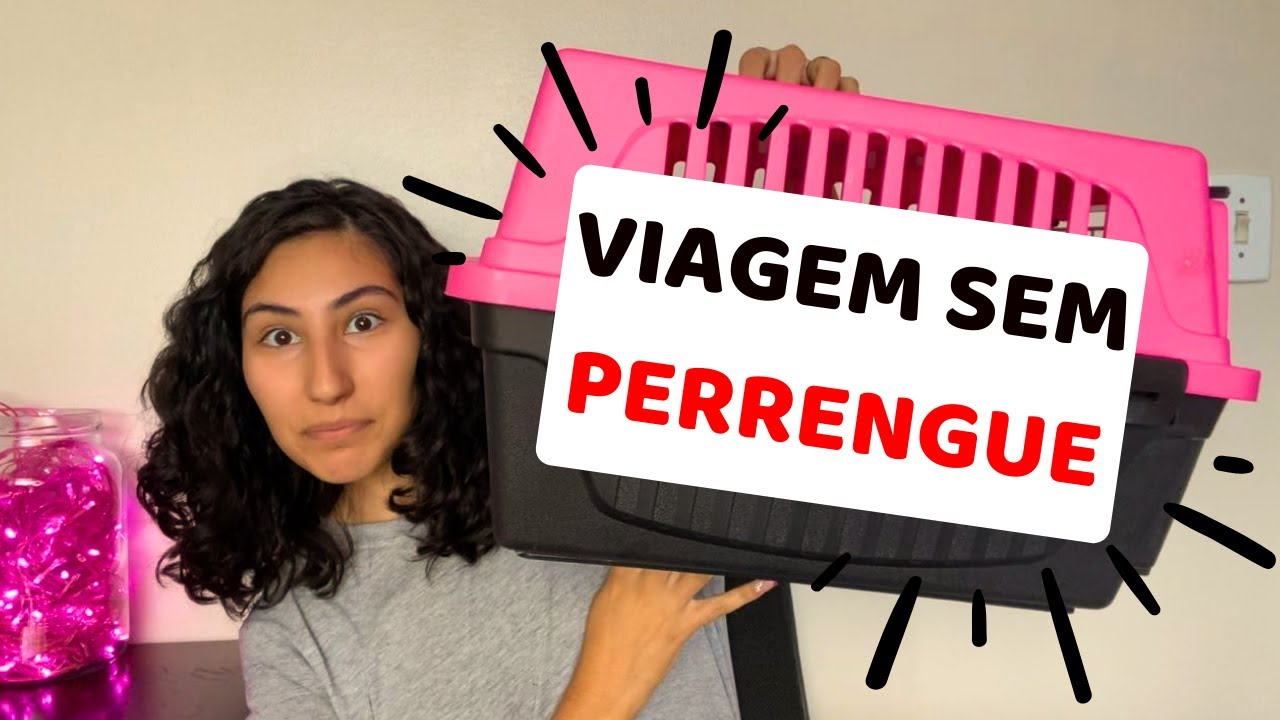 COMO VIAJAR COM GATO DE CARRO SEM PASSAR TRABALHO?