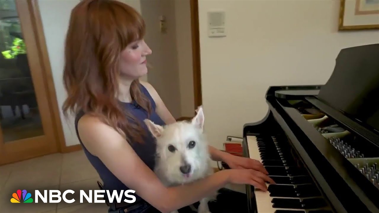 Keys to happiness: Dog's love for owner's piano playing goes viral