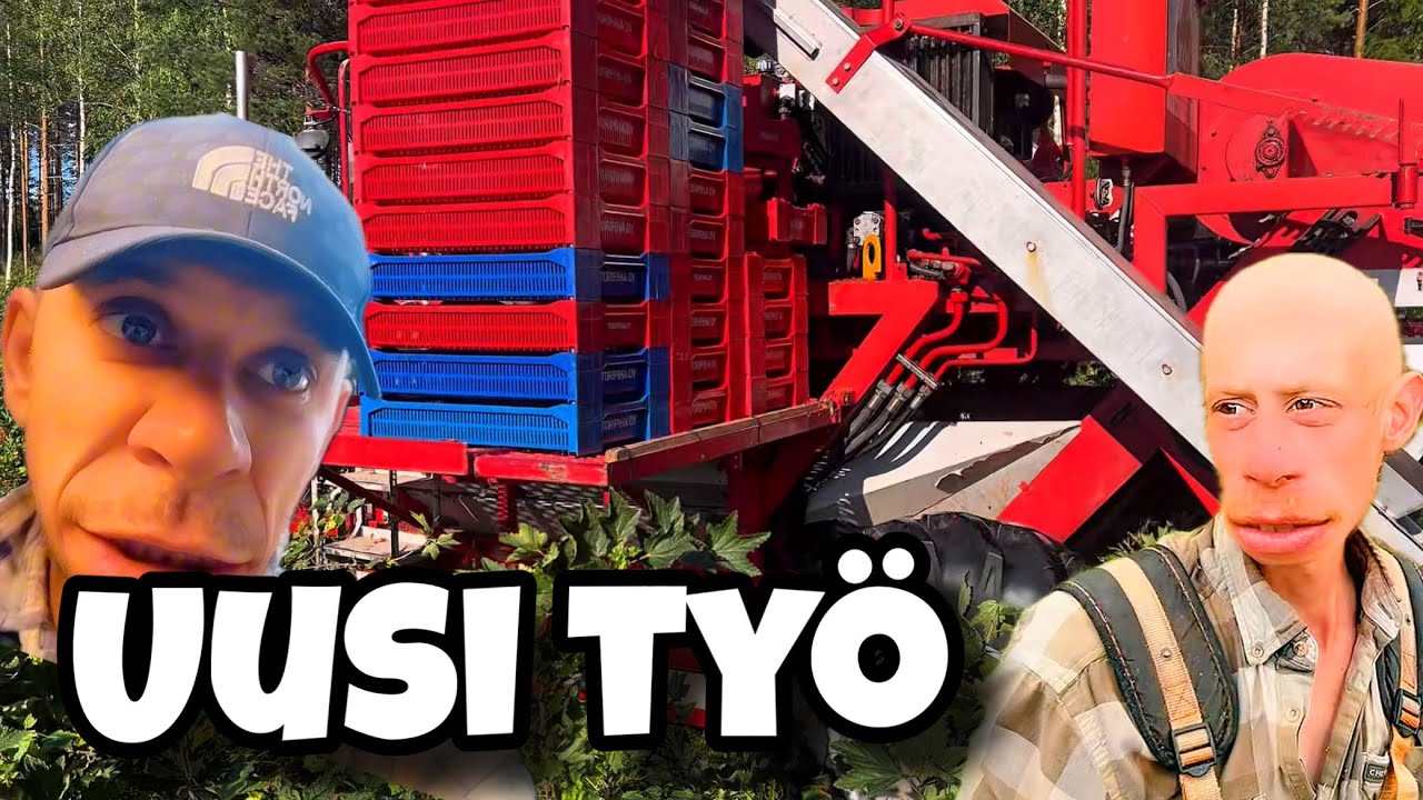 Mit&auml; tapahtui uudessa ty&ouml;ss&auml;? Tie tukossa ja rikkin&auml;inen saha / Onko Hyv&auml; 