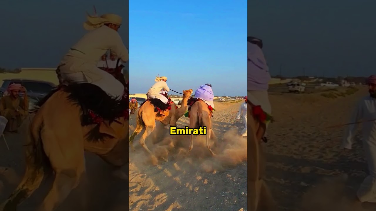 Unique Racing in Dubai🐪🐪 #shorts #viral #dubai #uae