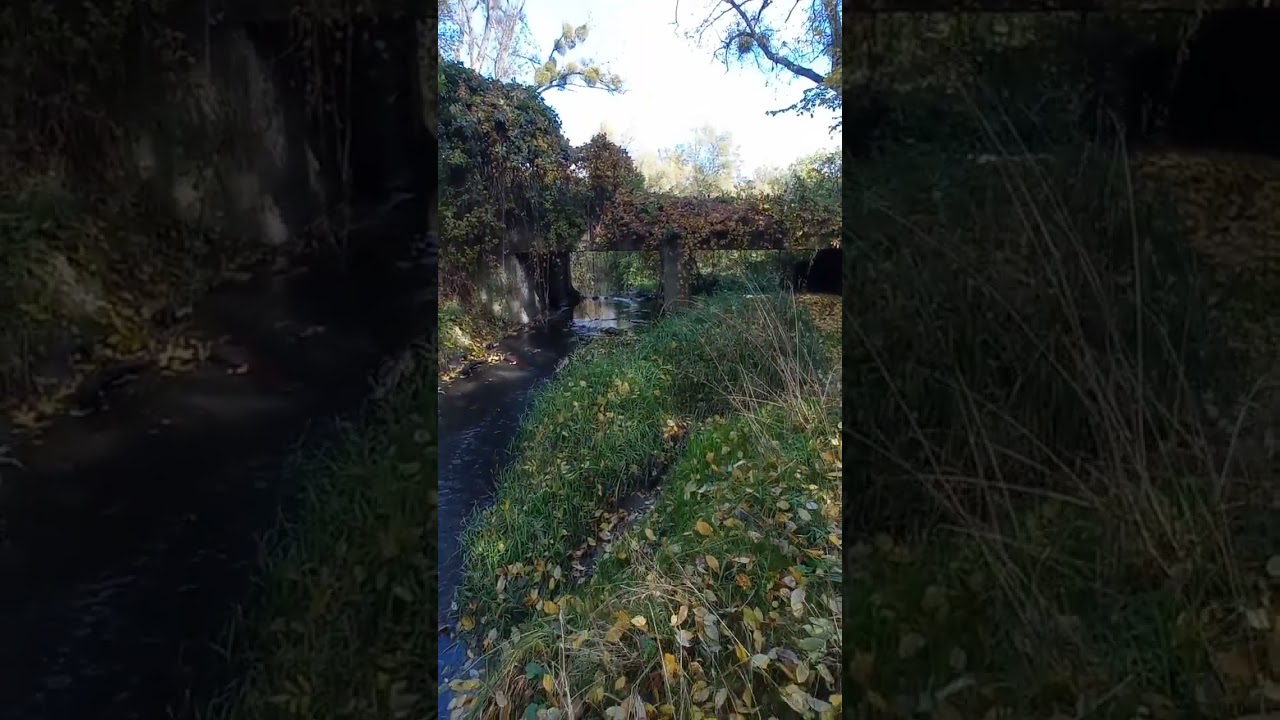 Ruiny dawnego mostu nad Potokiem Rokitnickim w Zabrzu
