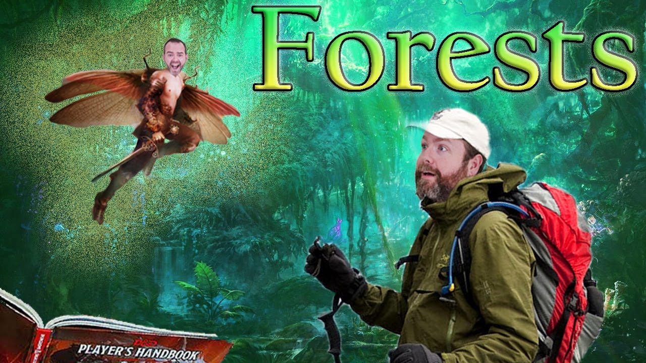 Forests | Adventuring Environments | D&D | TTRPG | Web DM