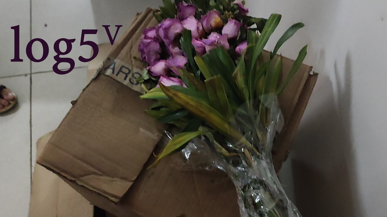 Rose Day at IIT Bombay *Dinner Date* | Vlog 5