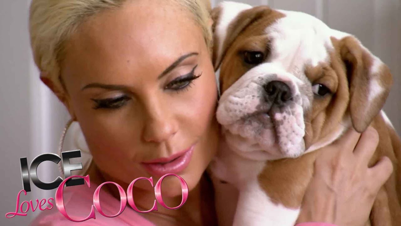 Ice-T and Coco's Dog Spartacus Has Puppies! | Ice Loves Coco S2 E10 | E! Rewind