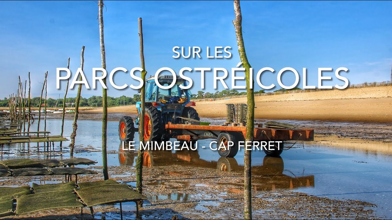 LES PARCS &Agrave; HU&Icirc;TRES DU MIMBEAU