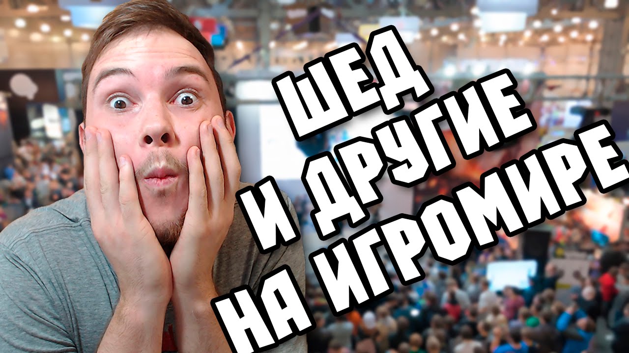 ШЕД С ДРУЗЬЯМИ НА ИГРОМИРЕ 2014