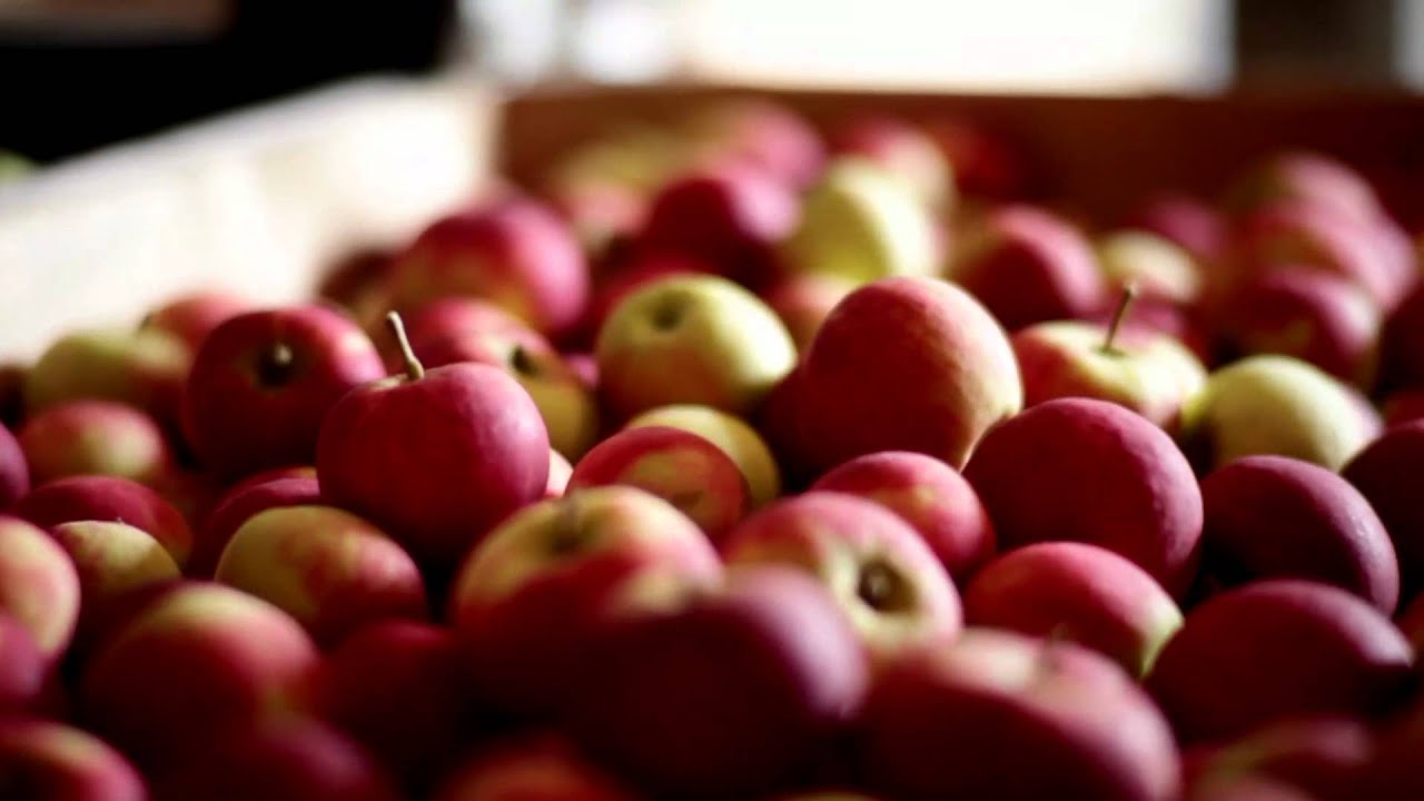 Elstar appels van onze leverancier - Allerhande