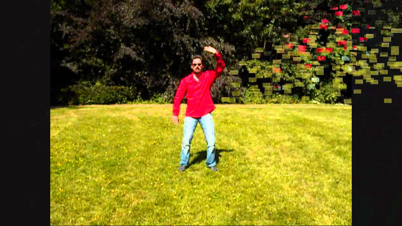 Wai Tan Kung - Qi Gong Teil 1