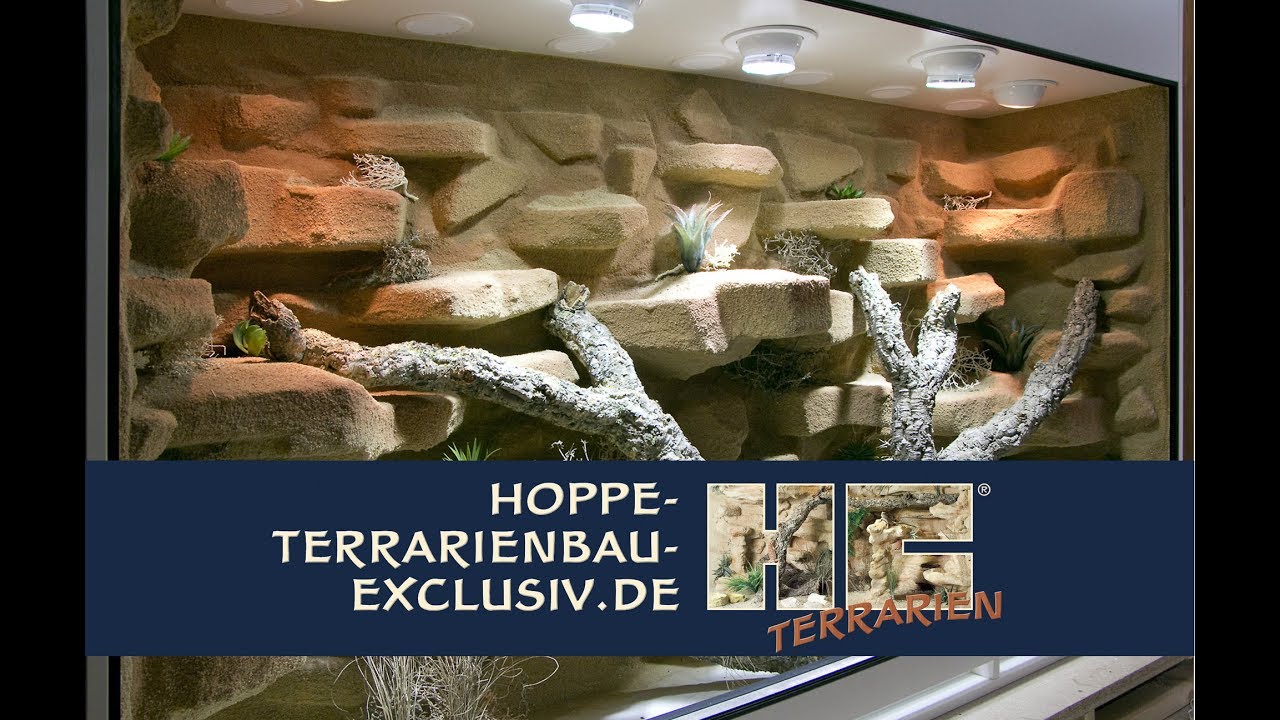 Terrarium für Bartagamen