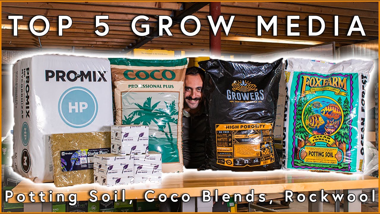 The Top 5 Grow Media
