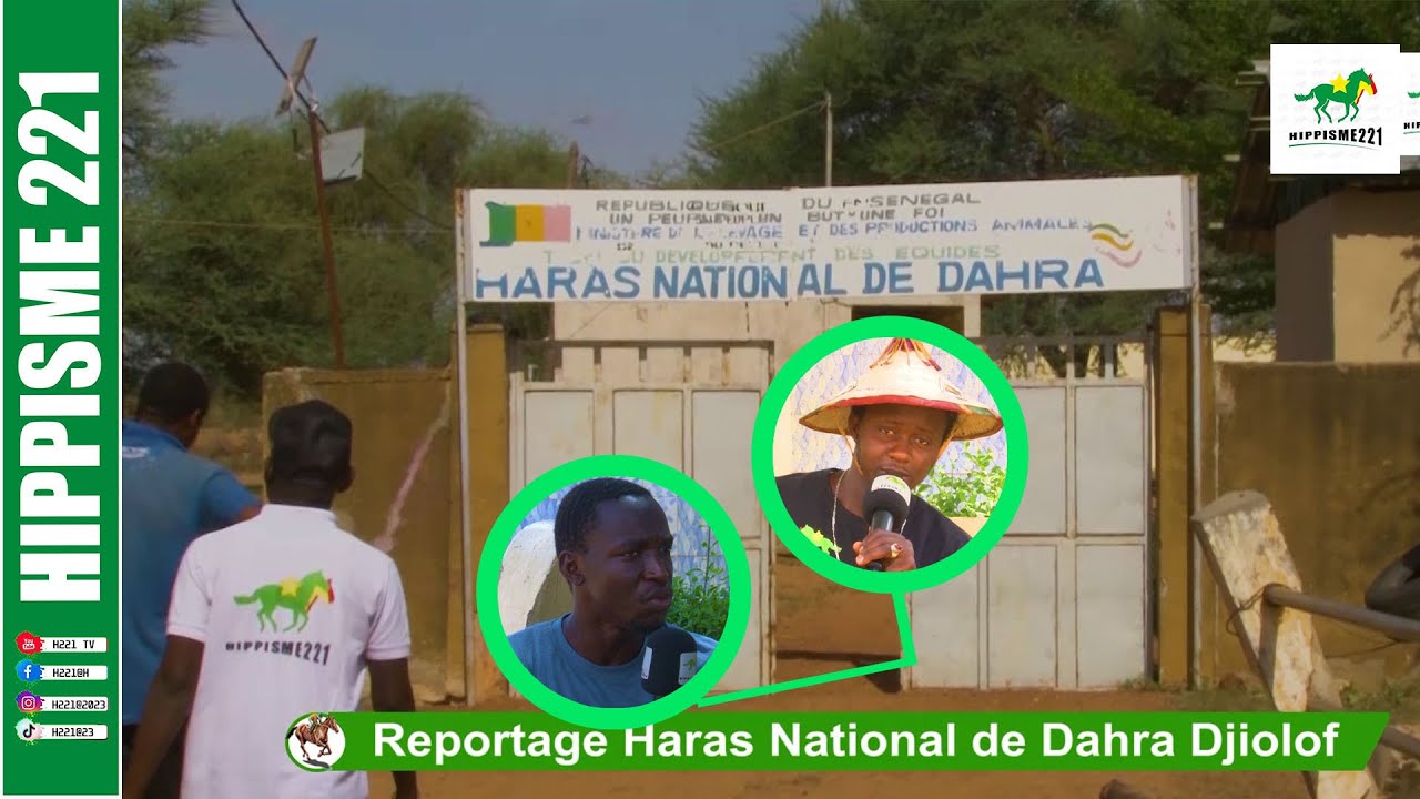 Reportage Haras National de Dahra Djiolof