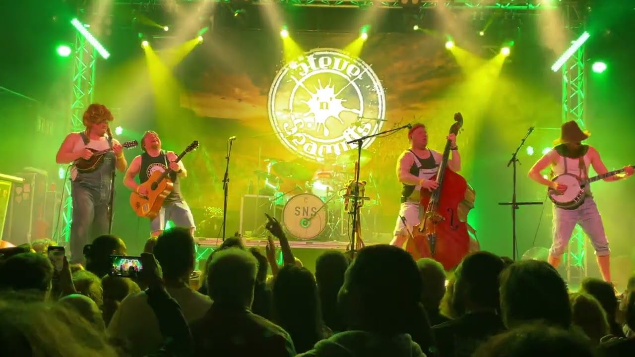 Steve'n'Seagulls III