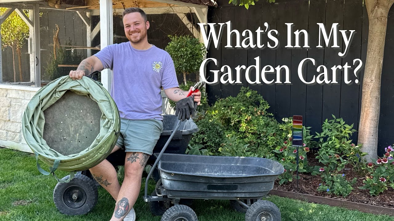 Non-Negotiable Garden Must Haves 🪴|| Visit Our Garden