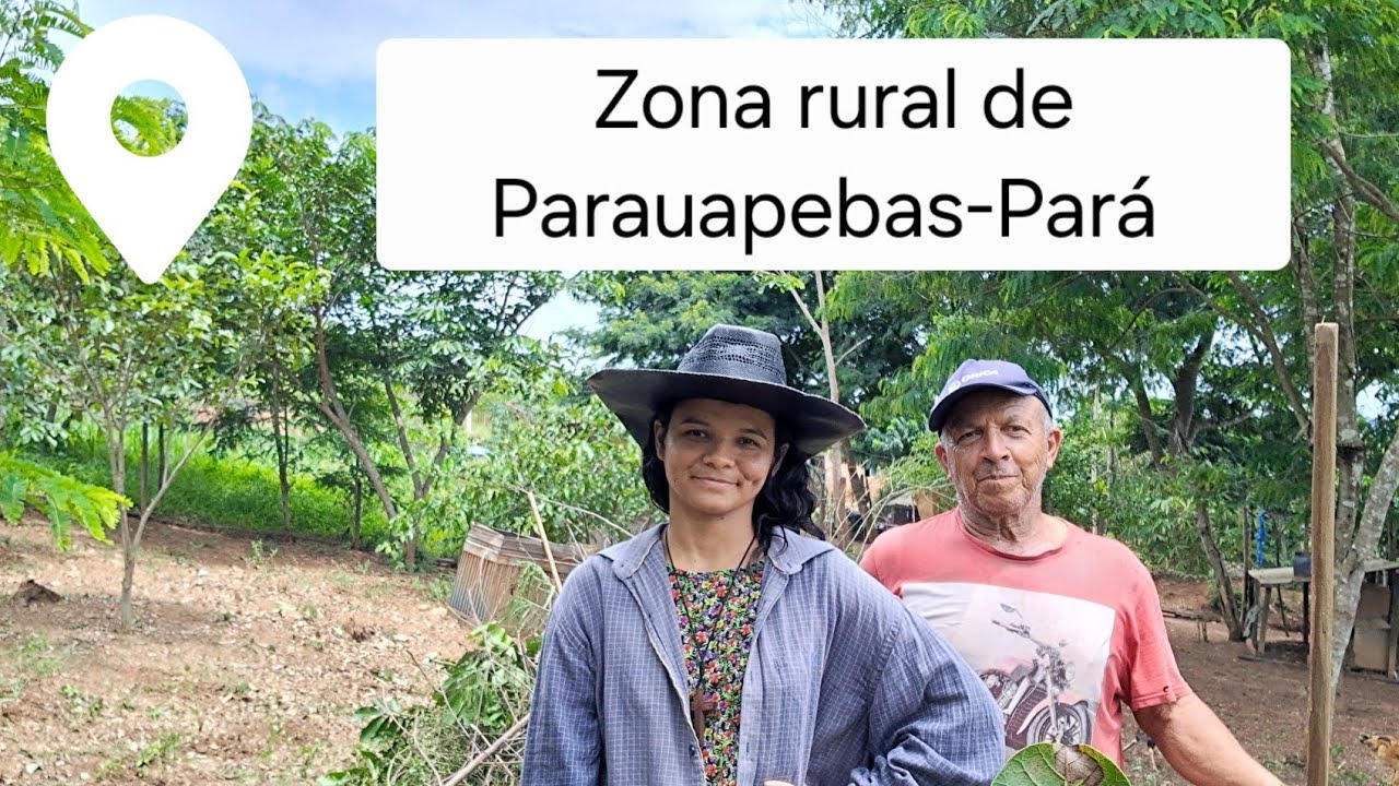 Limpeza no galinheiro/vida na roça 
