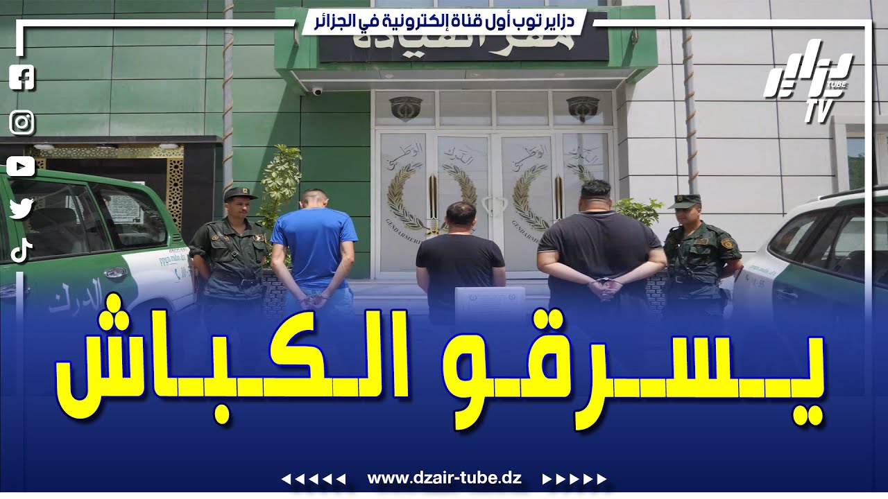 شاهد..الفرقة الإقليمية للدرك الوطني بتيشي ولاية بجاية توقف شبكة إجرامية مختصة في سرقة المواشي