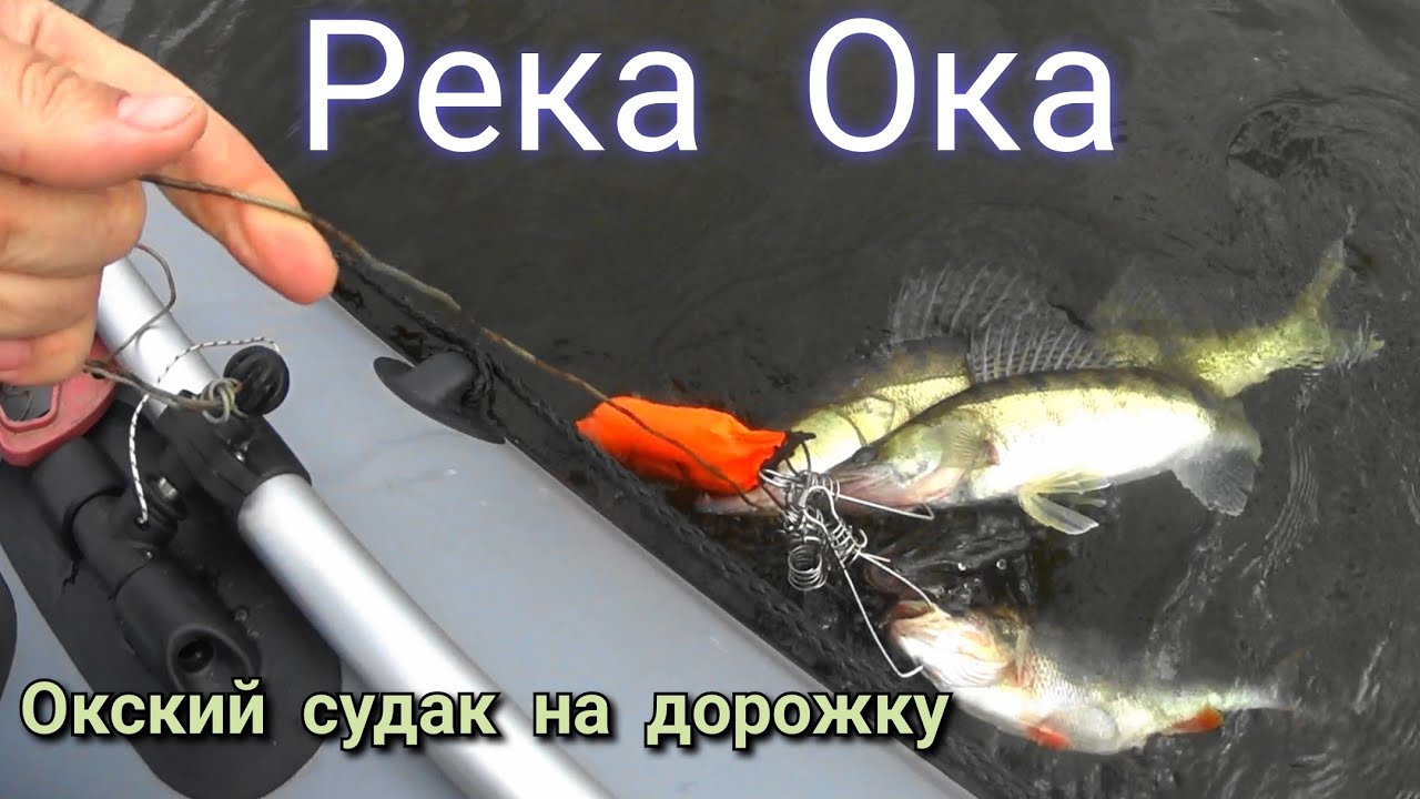 РЫБАЛКА на Оке,ТРОЛЛИНГ судака,тестим новый комплект KITT BOATS 330 НДНД