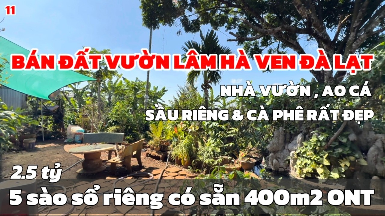 bán đất vườn lâm hà đẹp sẵn nhà vườn , sầu riêng cà phê siêu đẹp thổ cư sẵn 400m
