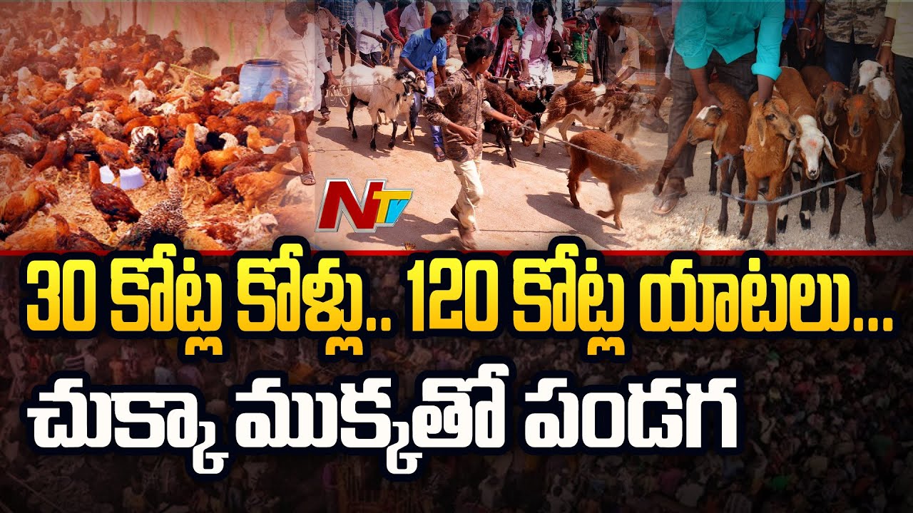 Huge Business in Medaram Jathara | మేడారంలో కోట్ల వ్యాపారం | Ntv
