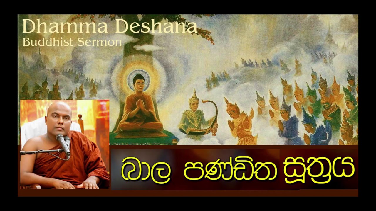 බාල පණ්ඩිත සූත්‍රය - Ven Galigamuwe ganadeepa thero