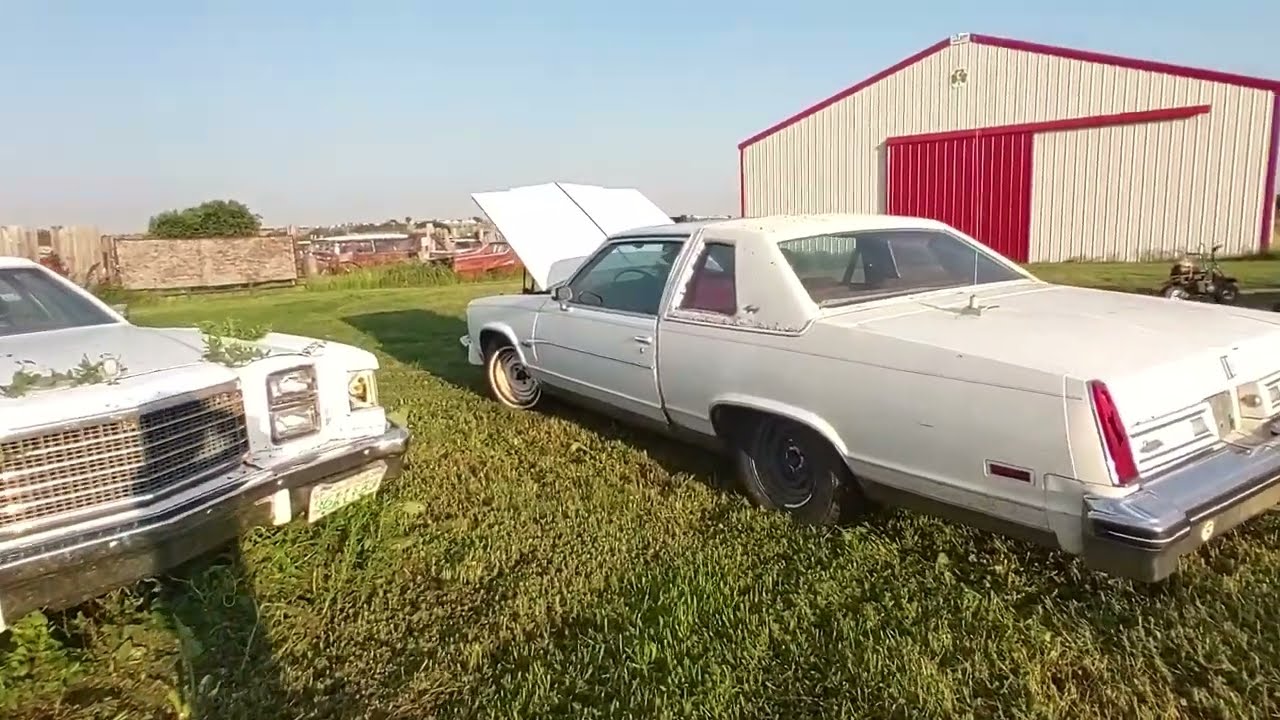 ColdStart of the 1979 Oldsmobile ninety eight before the weed jungle reclaims it #403V8#Regency