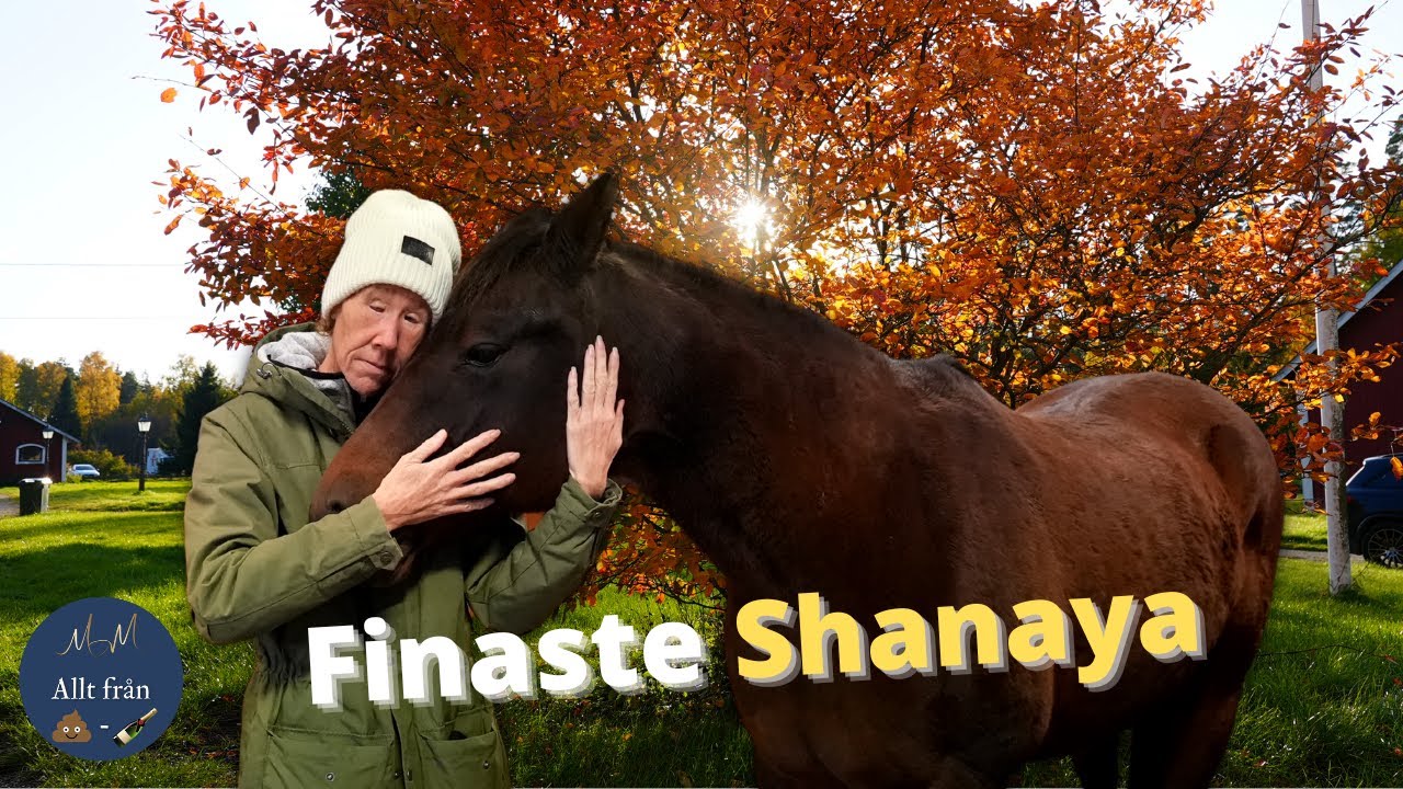 Hur vet man när det är dags att ta FARVÄL?😢 Uppdatering Shanaya❤
