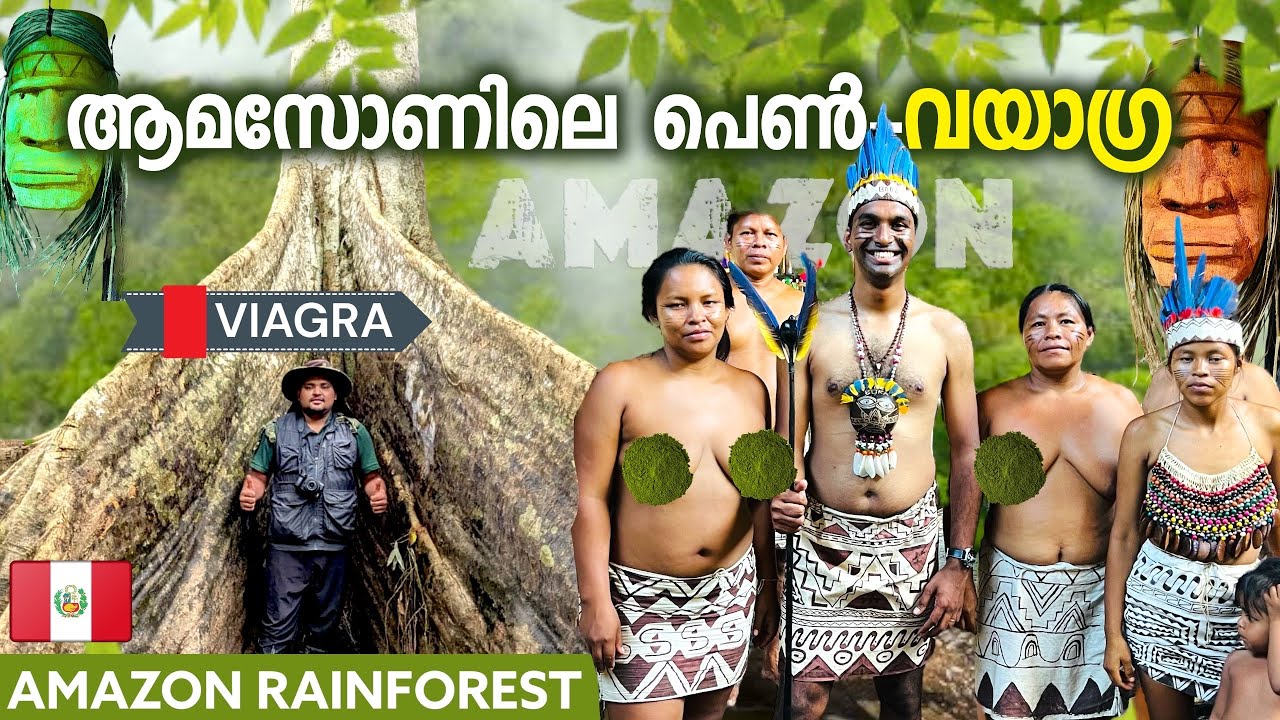 Amazon4 🐍 മഴപെയുന്ന മരം മുതൽ പെണ്ണിനെ വളക്കുന്ന ഉറുമ്പു വരെ | How To servive Amazon Rainforest 🇵🇪