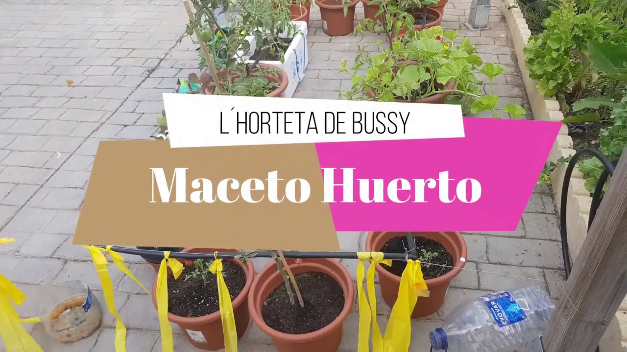 La maceto huerto de la horteta de Bussy