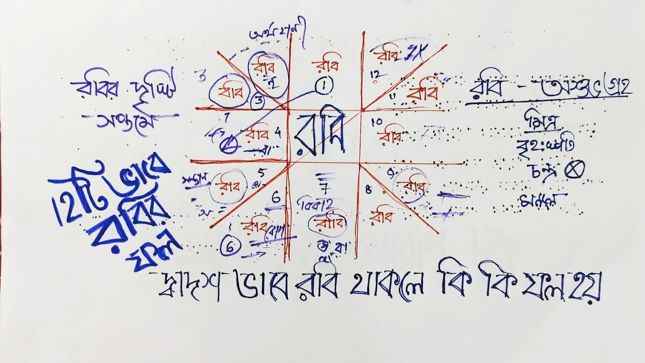 12টি ভাবে রবির ফল | sun all house in astrology | রবি সম্পর্কে কিছু অজানা কথা | #anandashastri
