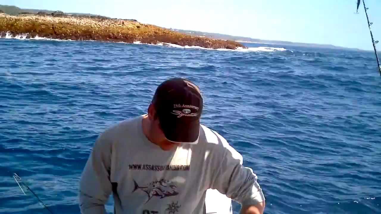 assassin fishing 8.5kg yellow fin tuna