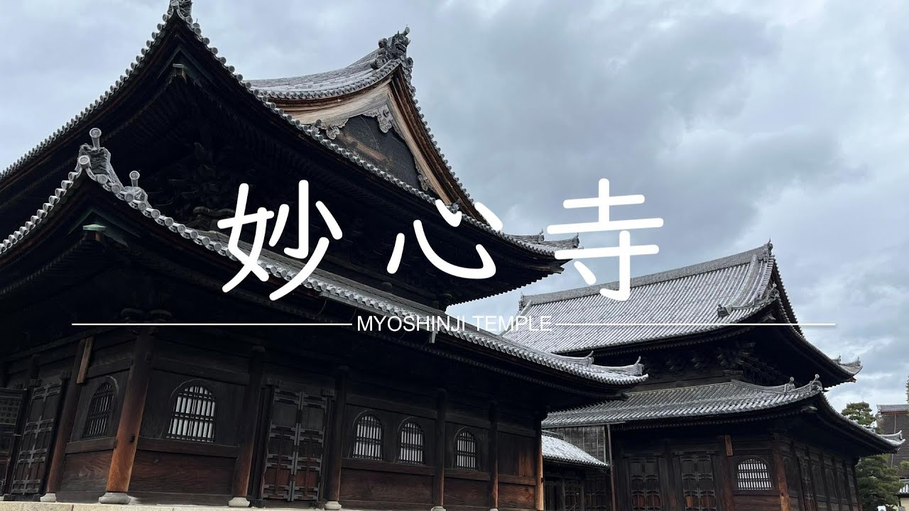 【京都観光】妙心寺｜臨済宗妙心寺派大本山｜Myoshinji Temple