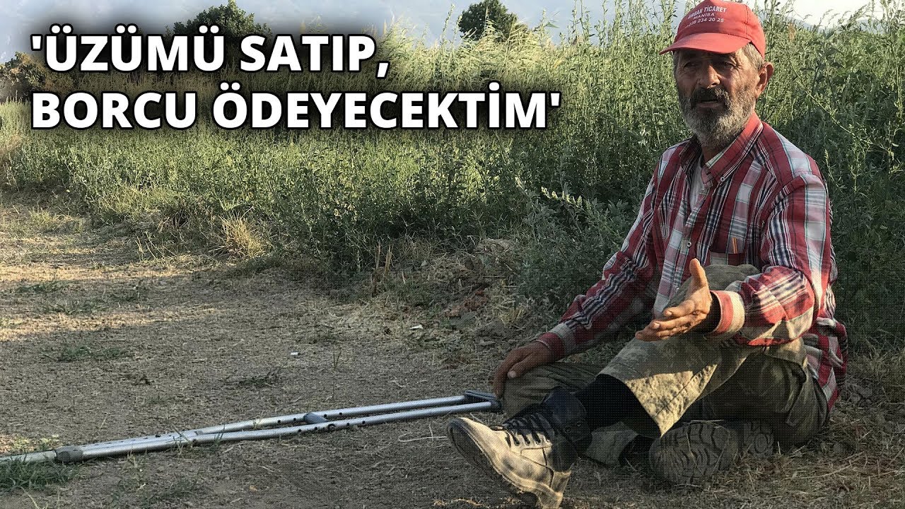Üzüm üreticilerinin bir yıllık emeği çalındı! 'Üzümü satıp, borcu ödeyecektim'