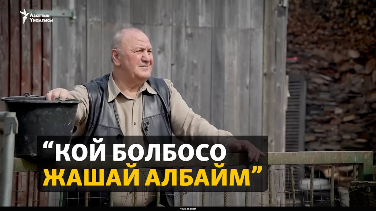 Германиядагы немистер: Таласым такай түшүмө кирет