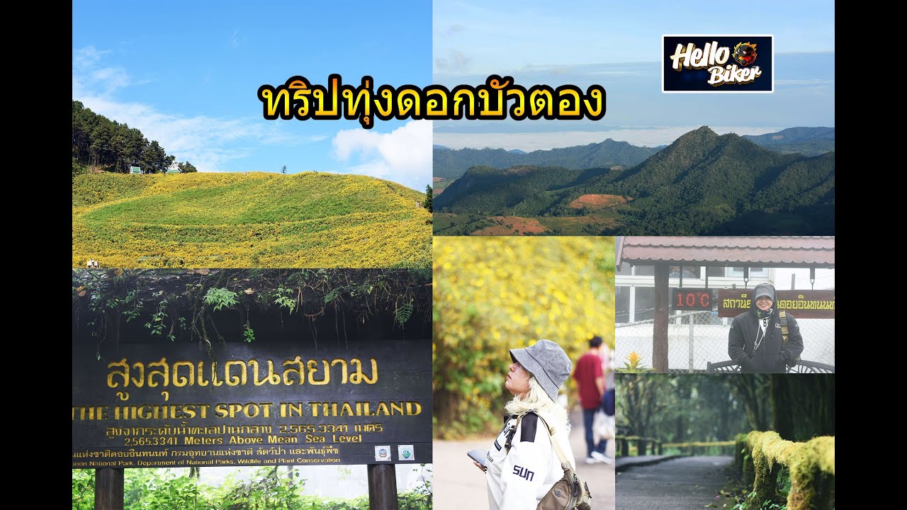 Honda Integra 700 [EP.28] ออกทริปทุ่งดอกบัวตอง จ.แม่ฮ่องสอน