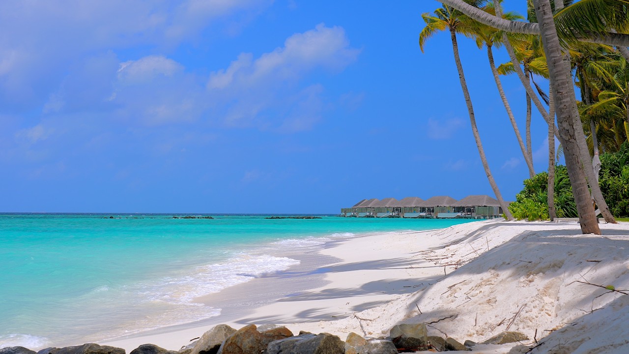 Paradise Found: Turquoise Ocean Water and Wild Beach! Maldives 4K ULTRA HD